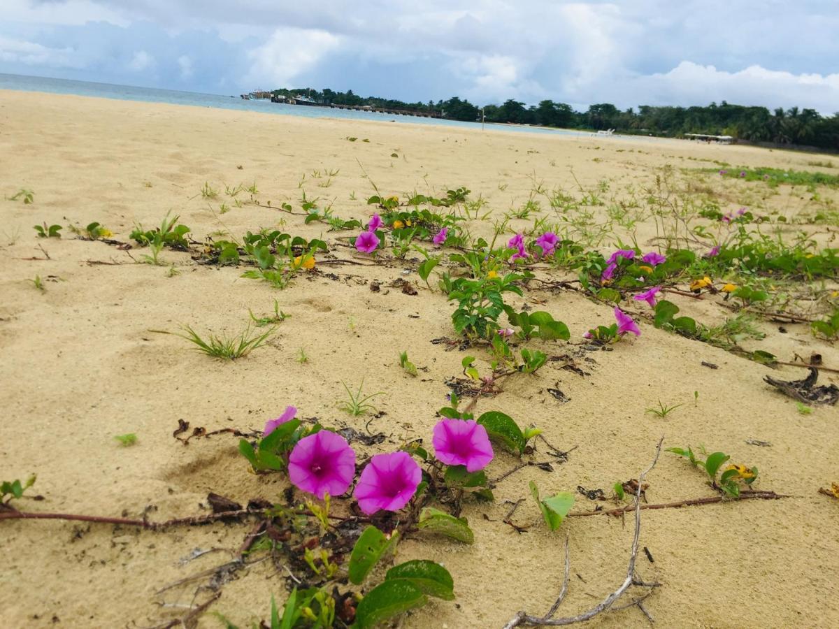Pic-Nic Beach Corn Island Hotel Bagian luar foto